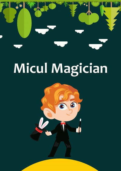 Micul Magician